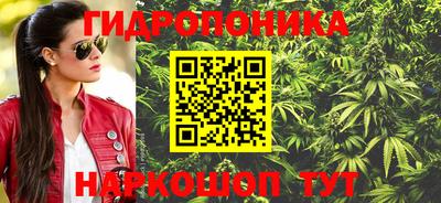 прущие грибы Севастополь