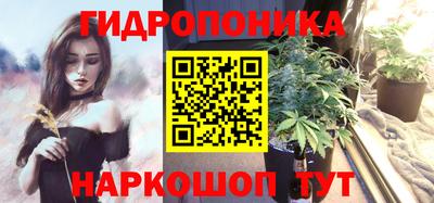 прущие грибы Севастополь