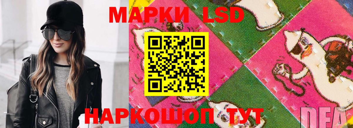 где продают наркотики  Марки 25I-NBOMe 1,5мг  Вход с VPN  Марки 25I-NBOMe 1,5мг  Дальнегорск 