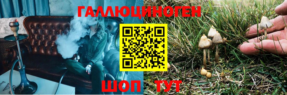 Галлюциногенные грибы мухоморы  Галлюциногенные грибы ЛСД  Вход с VPN  Дальнегорск 
